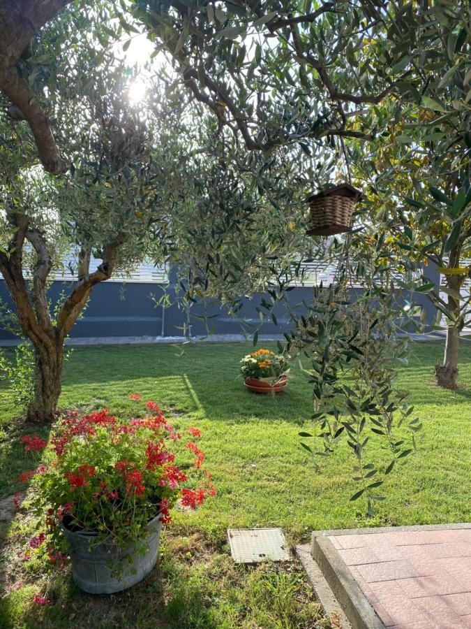 Apartamento Il Trammino